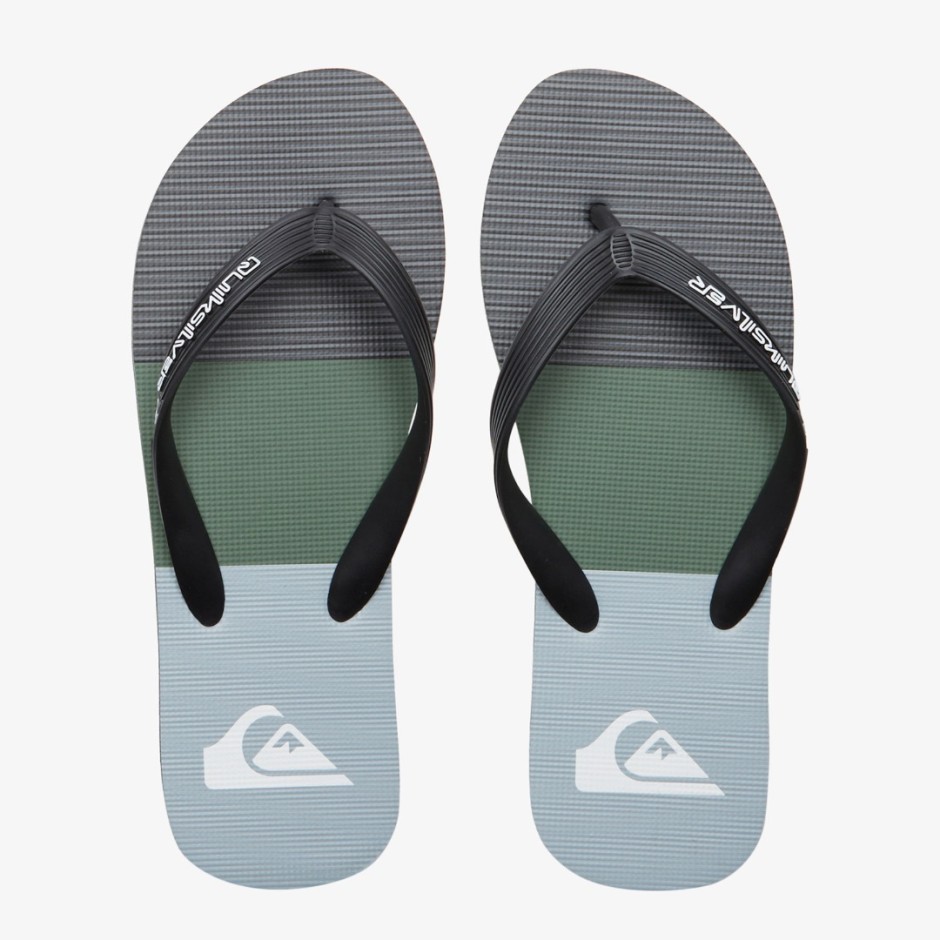 Ανδρικές Σαγιονάρες Πολύχρωμες - Quiksilver Molokai Stripe