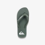 QUIKSILVER MOLOKAI CORE AQYL101325-KHA Κhaki Image 1