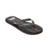 Ανδρικές Σαγιονάρες Πολύχρωμες - Quiksilver Molokai Art Εικόνα 1