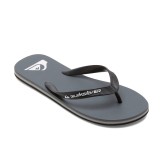 QUIKSILVER MOLOKAI CORE AQYL101325-SYJ1 Grey Image 