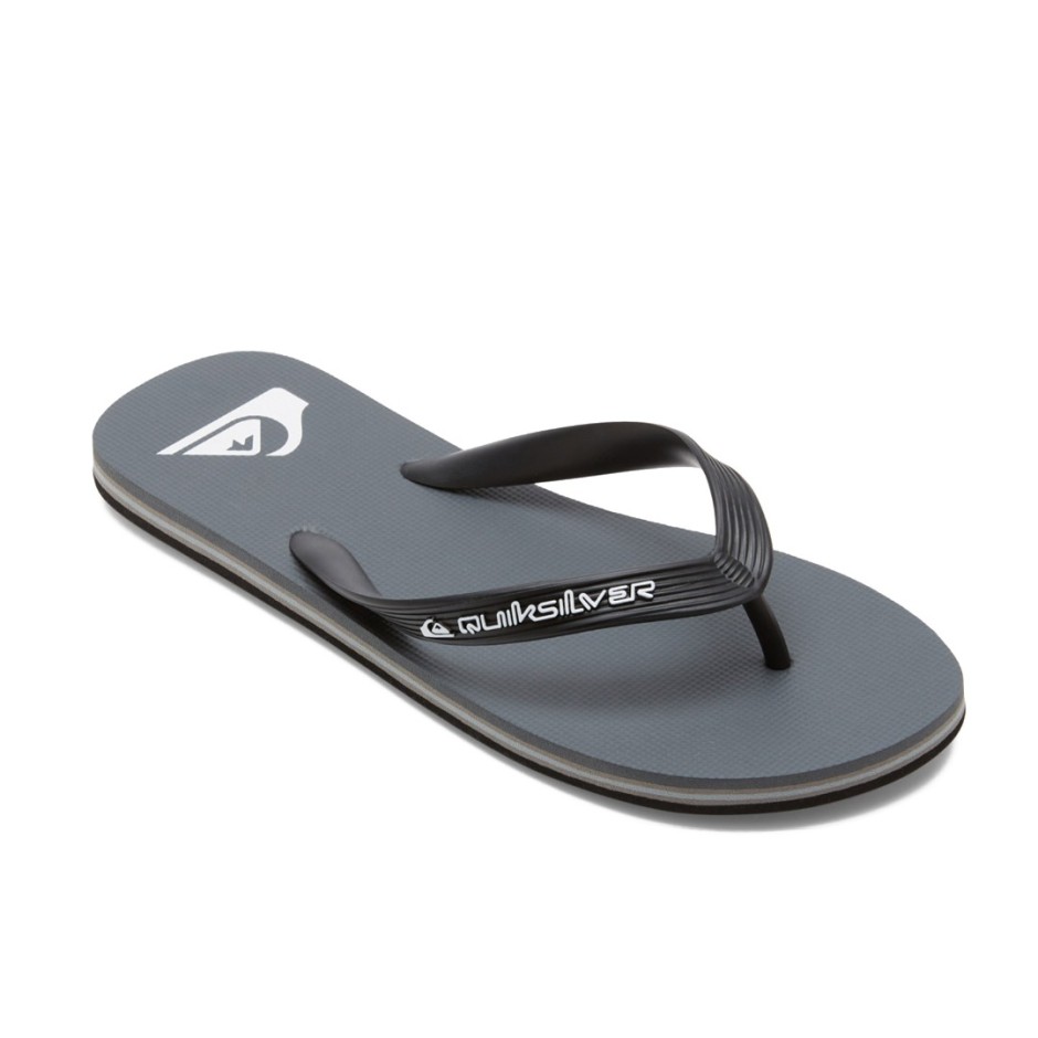 QUIKSILVER MOLOKAI CORE AQYL101325-SYJ1 Grey
