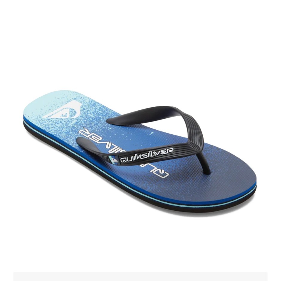 QUIKSILVER MOLOKAI ART II AQYL101360-XKBB Blue