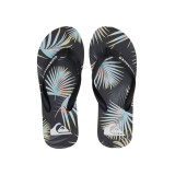 QUIKSILVER MOLOKAI ARCH AQYL101249-KVJ1 Black Image 