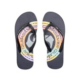 QUIKSILVER MOLOKAI ART AQYL101264-XBBN Blue Image 