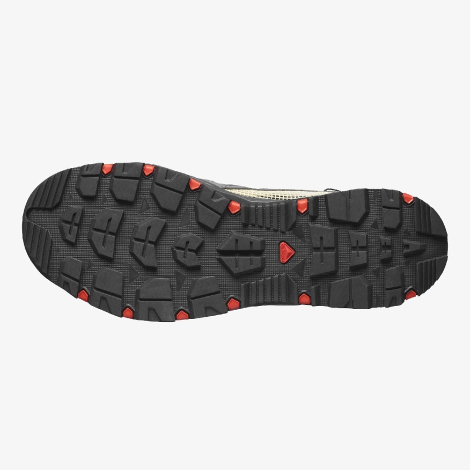 SALOMON TECHAMPHIBIAN 5 L471149 Grey