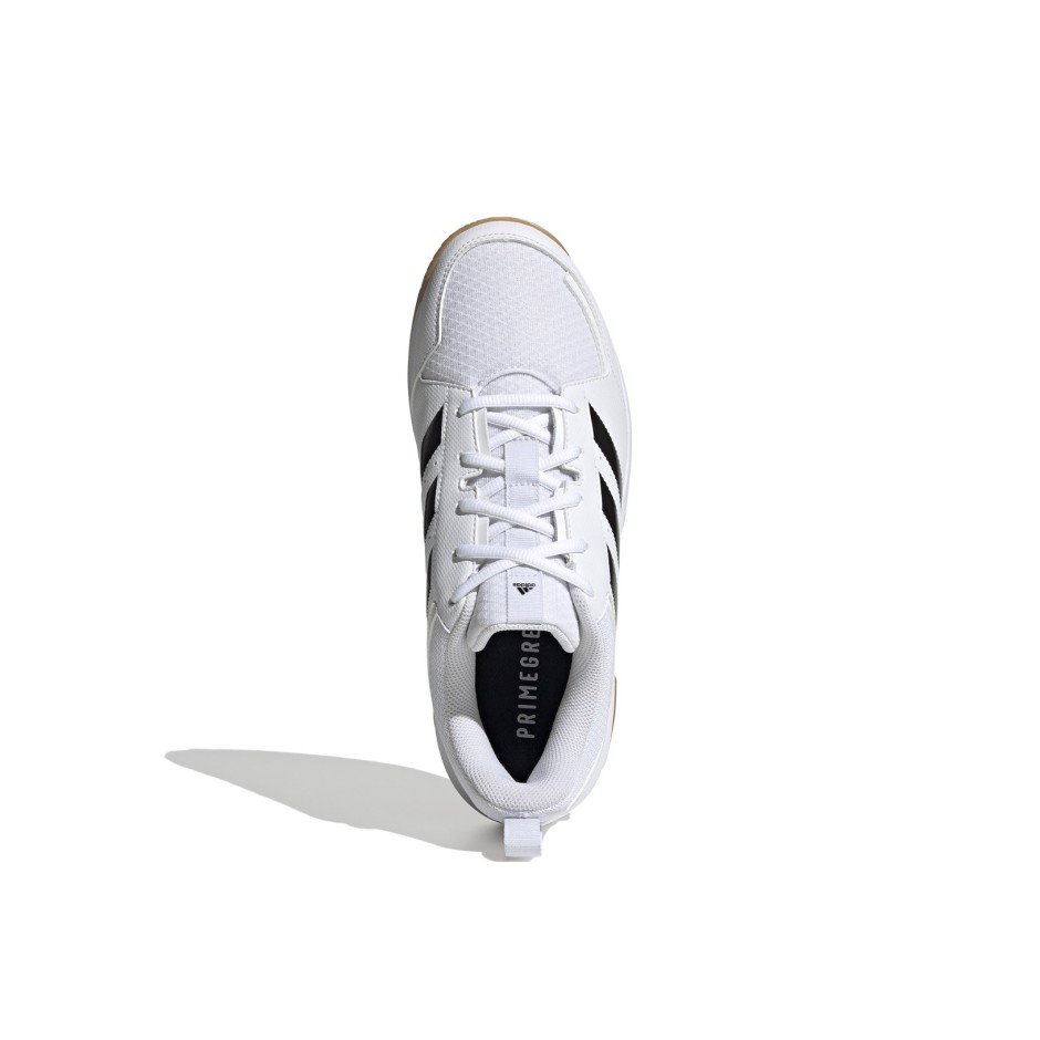 Ανδρικά Παπούτσια Βόλεϊ Λευκά - adidas Performance LIGRA 7 M GZ0069 