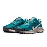 NIKE PEGASUS TRAIL 3 DA8697-300 Βεραμάν Εικόνα 0