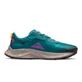 NIKE PEGASUS TRAIL 3 DA8697-300 Βεραμάν Εικόνα 1