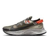 NIKE PEGASUS TRAIL 2 CK4305-301 Χακί Εικόνα 
