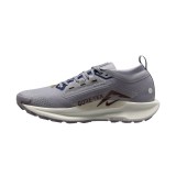 Ανδρικά Παπούτσια Trail Running Γκρι - Nike Pegasus Trail 5 GORE-TEX Εικόνα 0