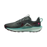 Ανδρικά Παπούτσια Trail Running Πετρόλ - Nike Pegasus Trail 5 Εικόνα 0