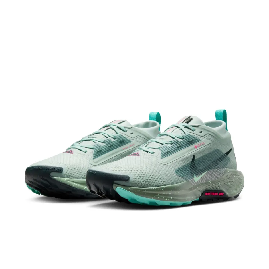 NIKE PEGASUS TRAIL 5 GORE-TEX FQ0908-013 Grey
