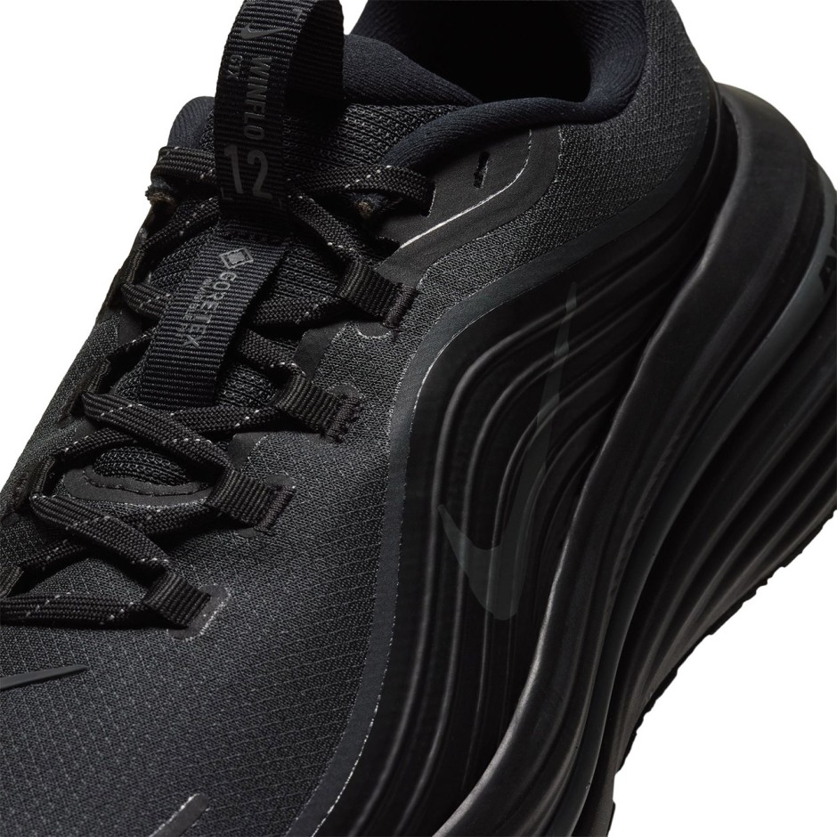 Ανδρικά Παπούτσια για Τρέξιμο Μαύρα - Nike Winflo 12 GORE-TEX