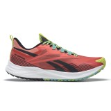 Ανδρικά Παπούτσια για Τρέξιμο & Trail Reebok Sport FLOATRIDE ENERGY 4 ADVENTURE Πορτοκαλί GW7194  Εικόνα 