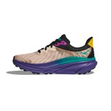 Ανδρικά Παπούτσια Trail Running Εκρού - HOKA ONE ONE Challenger ATR 7  Εικόνα 0