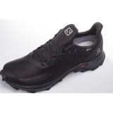 SALOMON ALPHACROSS BLAST GTX L411053-BLACK Black Image 3