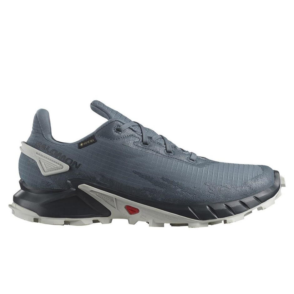 SALOMON ALPHACROSS 4 GTX L471168 Blue