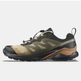 SALOMON X-ADVENTURE GTX L473213 Brown Image 0