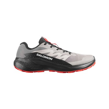 Ανδρικά Παπούτσια Trail Γκρι - Salomon Alphaglide