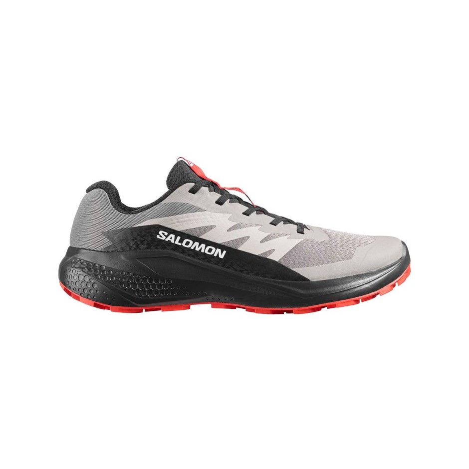 Ανδρικά Παπούτσια Trail Γκρι - Salomon Alphaglide