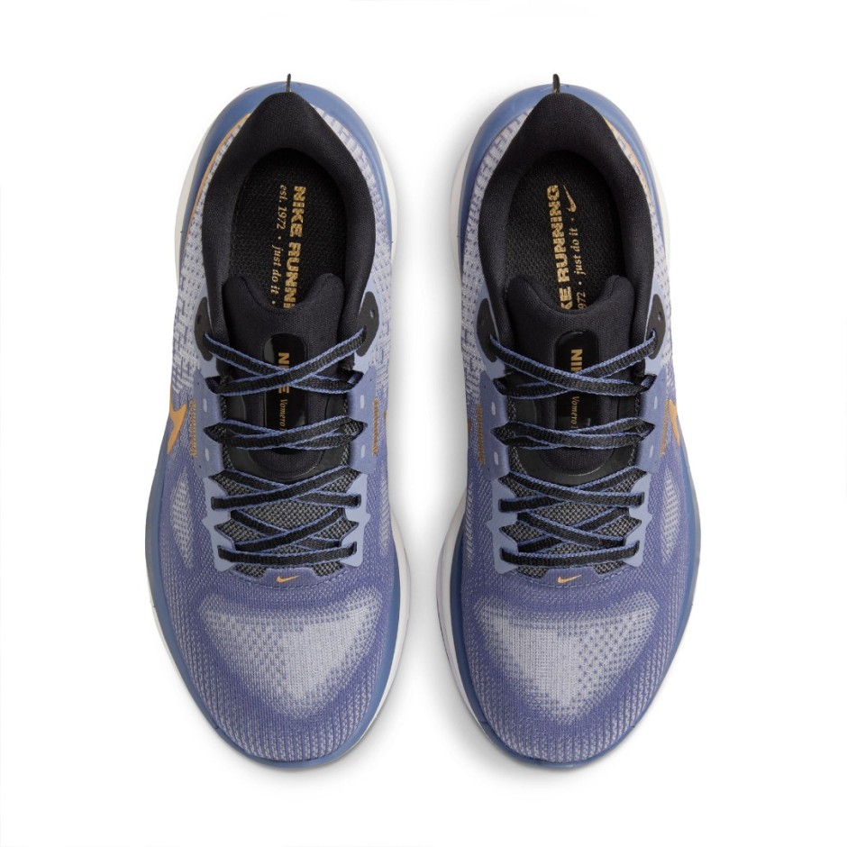Γυναικεία Παπούτσια για Τρέξιμο Μπλε - Nike Vomero 17