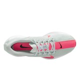 Γυναικεία Παπούτσια για Τρέξιμο Γκρι - Nike Pegasus Plus Εικόνα 1