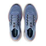 NIKE PEGASUS 41 FD2723-403 Blue Image 4
