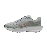 NIKE WINFLO 11 FJ9510-004 Grey Image 0