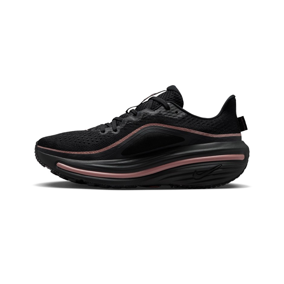 Γυναικεία Παπούτσια για Τρέξιμο Μαύρα - Nike Winflo 12