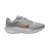NIKE WINFLO 11 FJ9510-004 Grey Image 