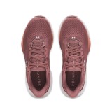 UNDER ARMOUR UA W INFINITE PRO 2 3028177 Βordeaux Image 2