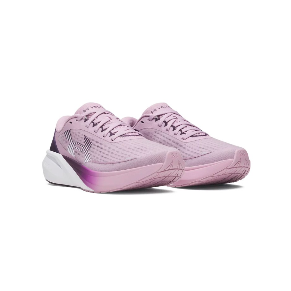 Women's Running Shoes Purple - Under Armour Velociti Pace