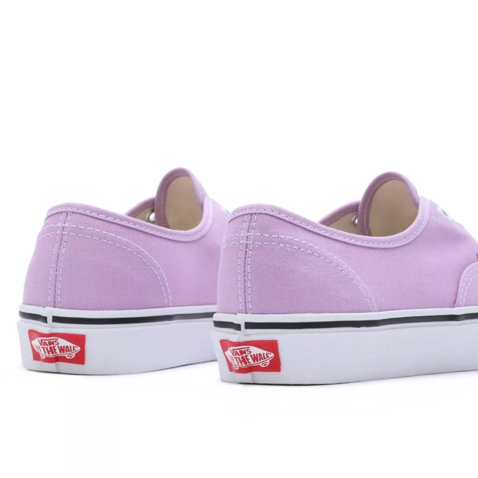 VANS AUTHENTIC COLOR THEORY VN0009PVBUG-BUG Lilac