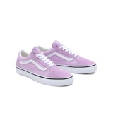 VANS OLD SKOOL COLOR THEORY VN0005UFBUG-BUG Lilac Image 1
