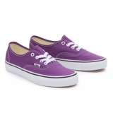 VANS AUTHENTIC COLOR THEORY VN000BW51N8-1N8 Purple Image 1