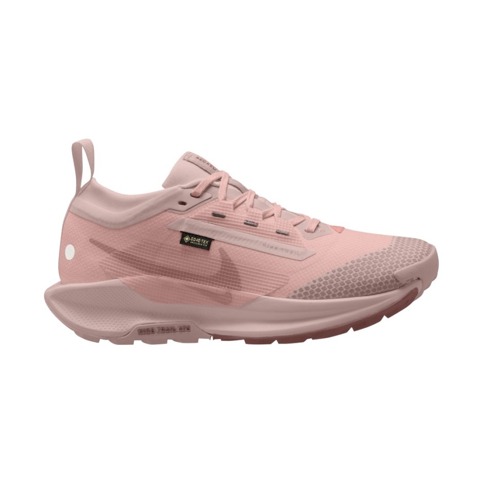 NIKE PEGASUS TRAIL 5 GORE-TEX FQ0912-601 Pink