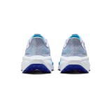 NIKE AIR ZOOM PEGASUS 41 FN5041-004 Grey Image 2