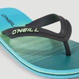 O'NEILL PROFILE GRAPHIC SANDALS 4400015-26019 Siel Image 1