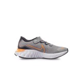 NIKE RENEW RUN CT1436-070 Γκρί Εικόνα 1