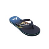 QUIKSILVER MOLOKAI ART YOUTH AQBL100558-BYJ3 Blue Image 0