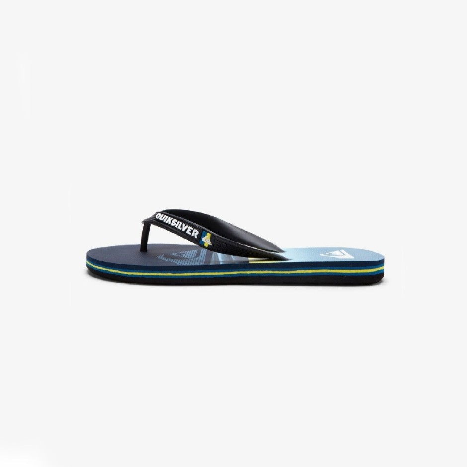 QUIKSILVER MOLOKAI ART YOUTH AQBL100558-BYJ1 Blue