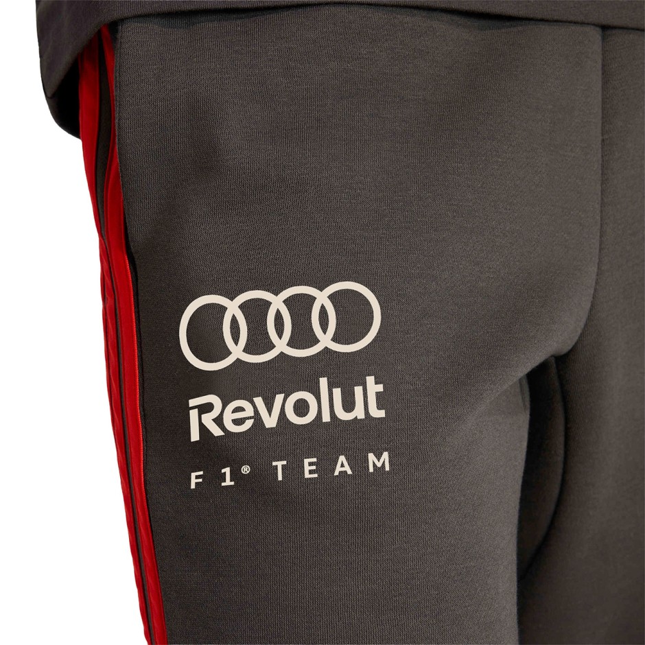 Men's Trousers Black -  adidas Performance Audi Revolut Formula One Team DNA