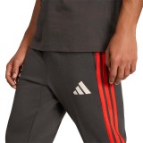 Men's Trousers Black -  adidas Performance Audi Revolut Formula One Team DNA Image 2
