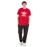 adidas Originals TREFOIL PANT DV1574 Black Image 2