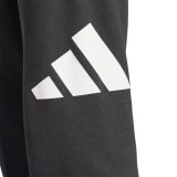 Ανδρικό Παντελόνι Φόρμα Μαύρο - adidas Sportswear Essentials Big Logo French Terry Εικόνα 1