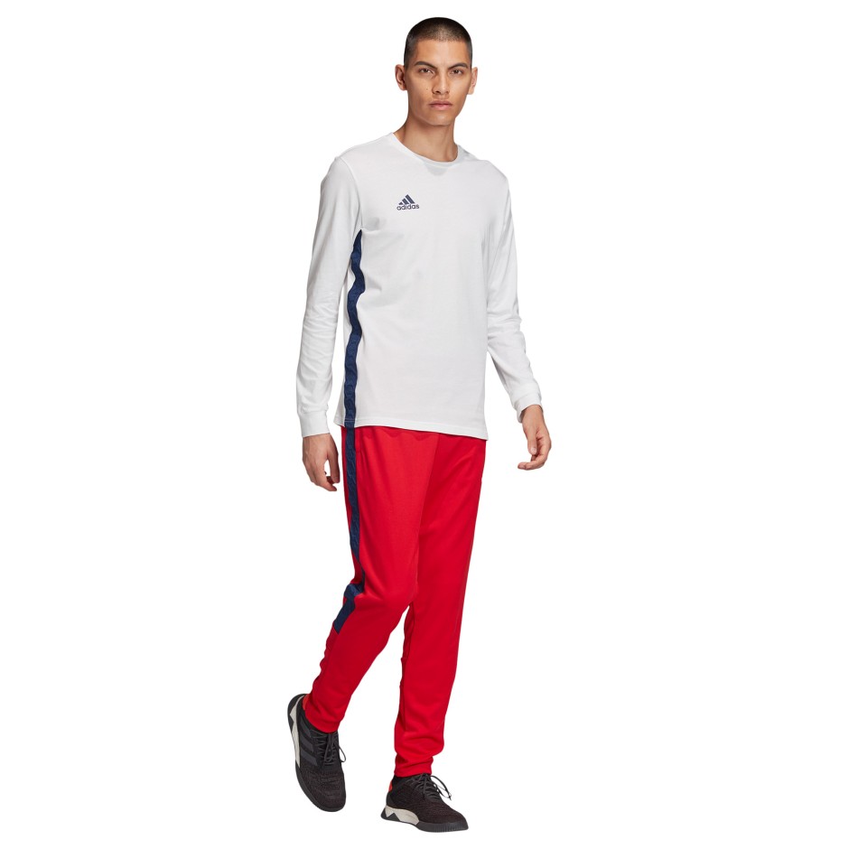 adidas tan club h pant