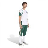 adidas Performance FIGC TR PNT JZ9377 Green Image 3