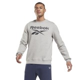 Ανδρική Μακρυμάνικη Μπλούζα Reebok Sport RI FLC BL CREW Γκρί GS1619  Εικόνα 