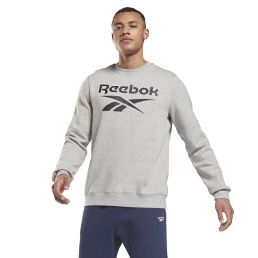 Ανδρική Μακρυμάνικη Μπλούζα Reebok Sport RI FLC BL CREW Γκρί GS1619 