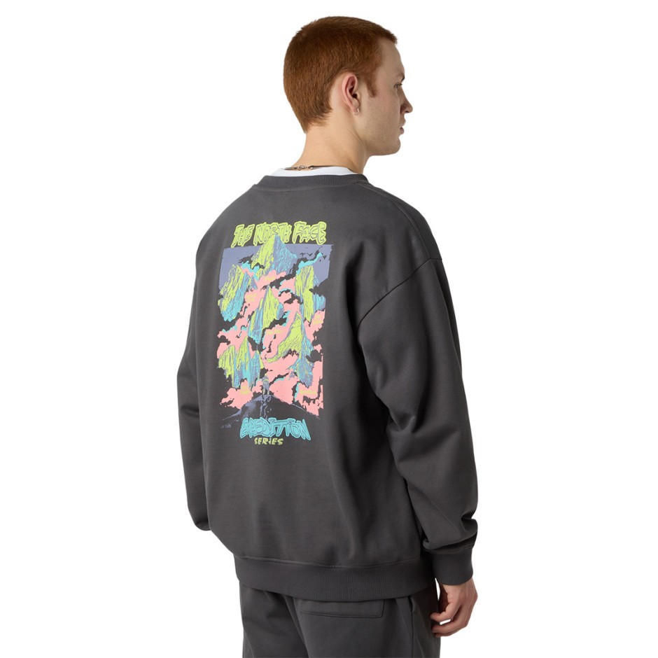 THE NORTH FACE EXPEDITION CELEBRATION OVERSIZED NF0A8E3GRHI-RHI Coal
